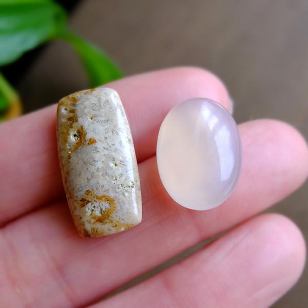 フォッシルコーラル（化石珊瑚）約22×11×4mm ・ホワイトオニキス