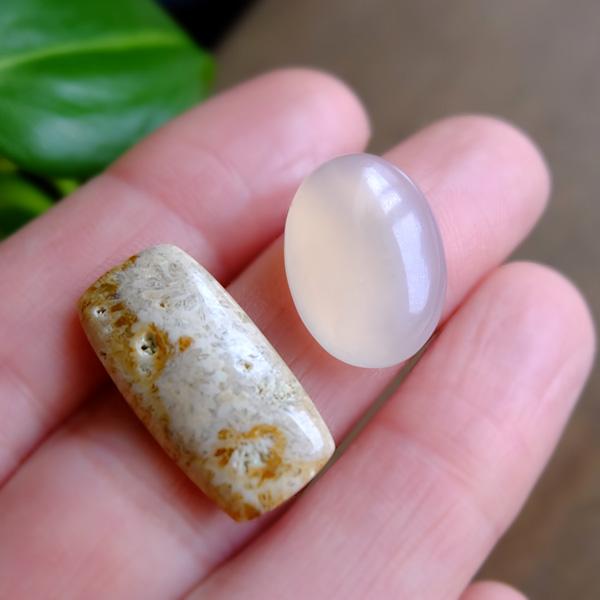 フォッシルコーラル（化石珊瑚）約22×11×4mm ・ホワイトオニキス