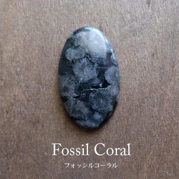 フォッシルコーラル ブラック（化石珊瑚）約28×18×4mm 天然石