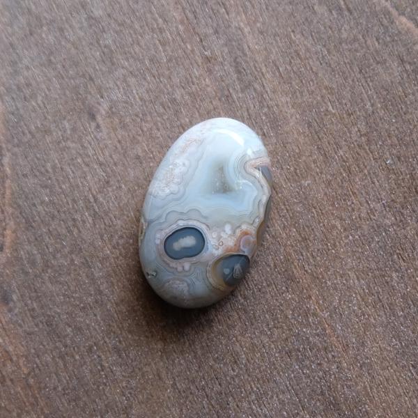 ブラックフォッシルコーラル （化石珊瑚）約24×12×5mm ・クレイジー