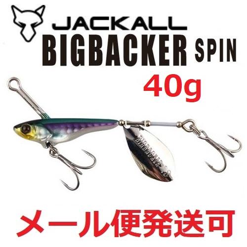 JACKALL（ジャッカル） ビッグバッカースピン 40g カタクチ/レンズホロ