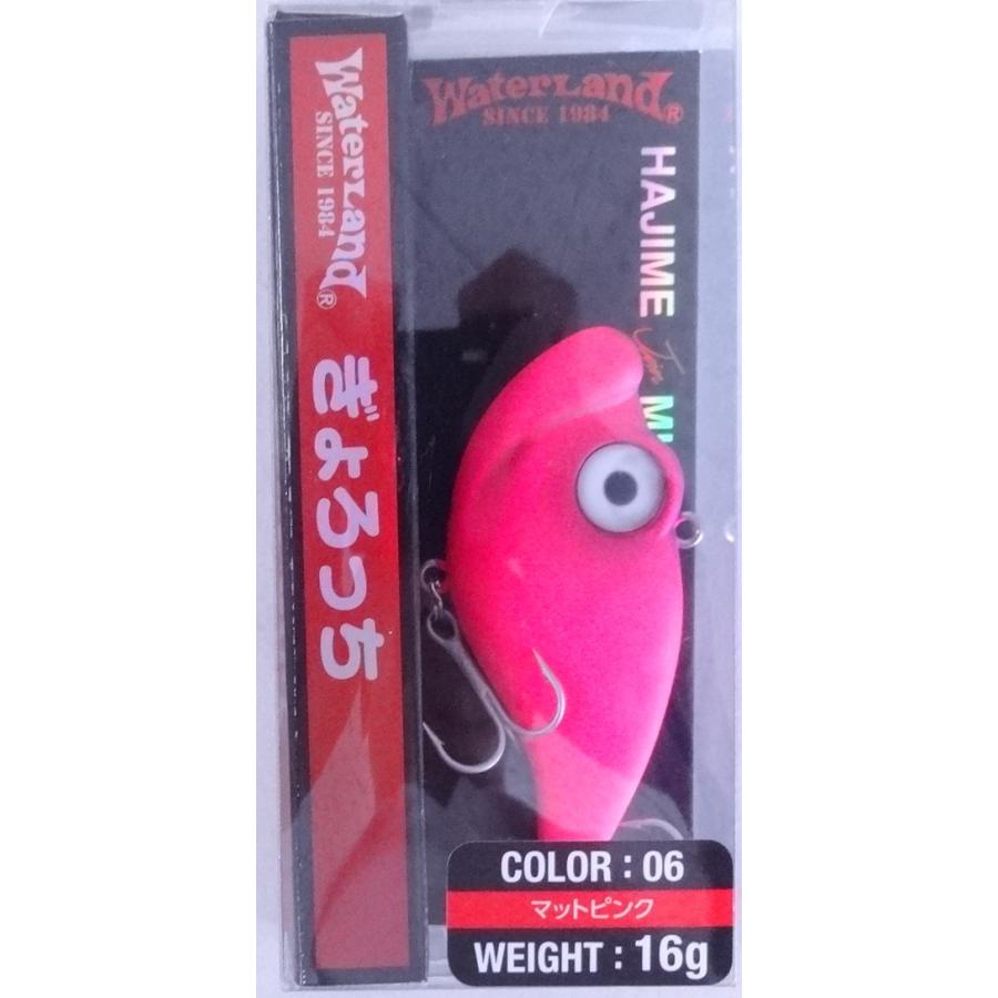 ヒグマ　WaterLand ワレット付きルアー　100コセット！ ウォーターランド/Water Land 【ウォーターソニック ドリーム / Water