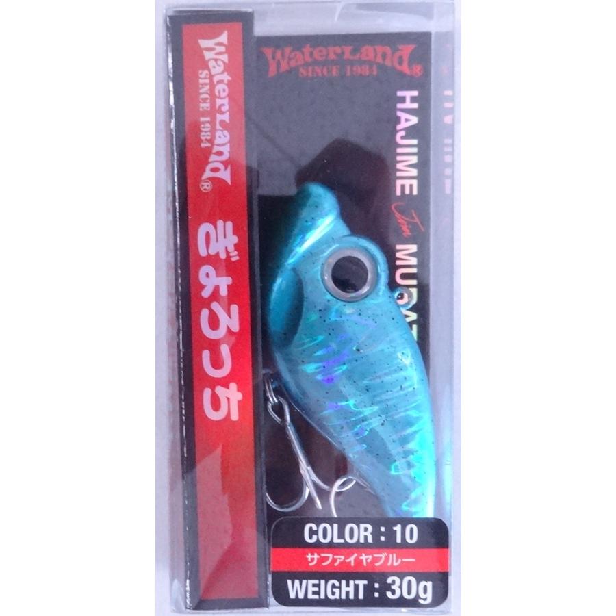 WaterLand（ウォーターランド） ぎょろっち 30g 10 サファイアブルー