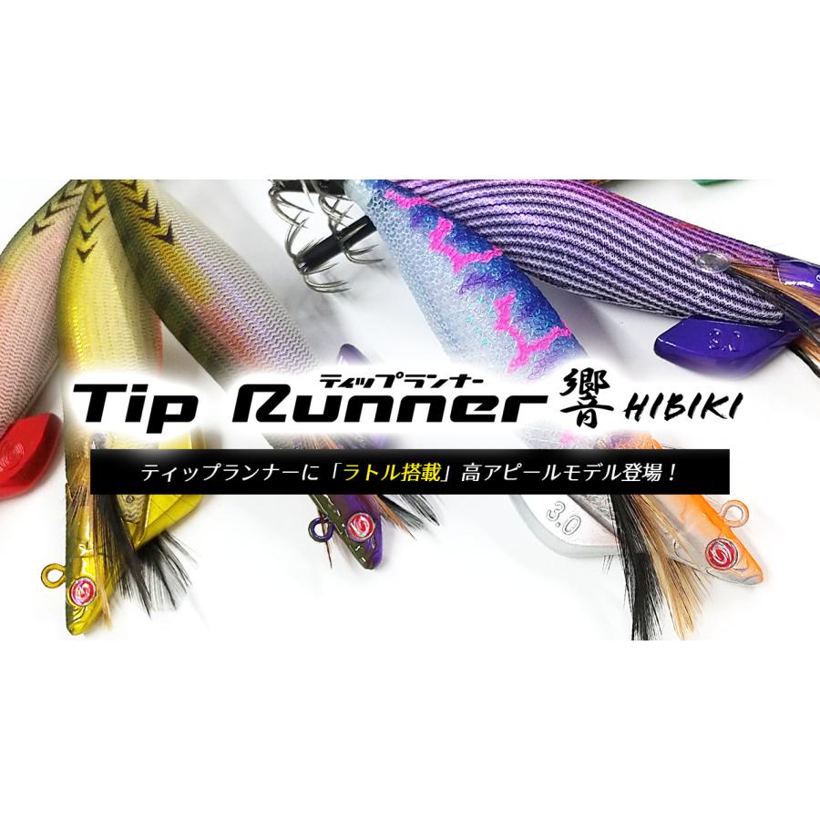 Crazy Ocean（クレイジーオーシャン） ティップランナー響 3.5号 30g