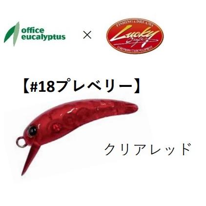 office eucalyptus（オフィスユーカリ） ワウ37F 18 プレベリー 784284