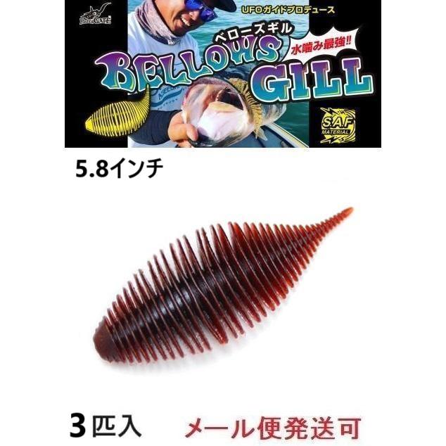 Skillzhigh(スキルズハイ)シーガル Skillzhigh(スキルズハイ)シーガル