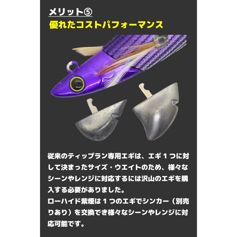 GEECRACK（ジークラック） ローハイド紫煙 3.5号 スターターセット 002