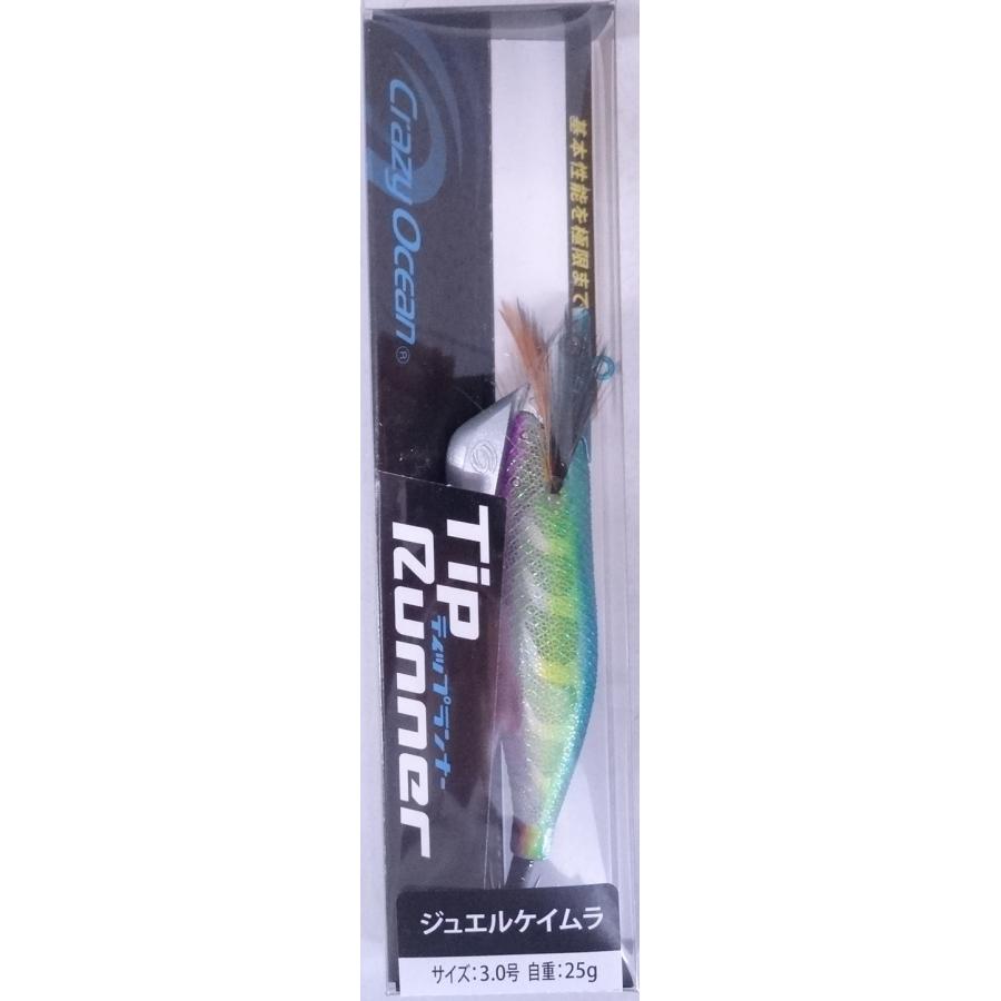 Crazy Ocean クレイジーオーシャン ティップランナー 3.0号 25g