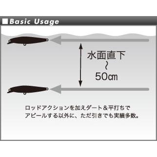 SKAGIT DESIGNS（スカジットデザインズ） リップスライド 60mm 13g