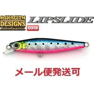 SKAGIT DESIGNS（スカジットデザインズ） リップスライド 60mm 13g