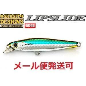 SKAGIT DESIGNS（スカジットデザインズ） リップスライド 60mm 13g