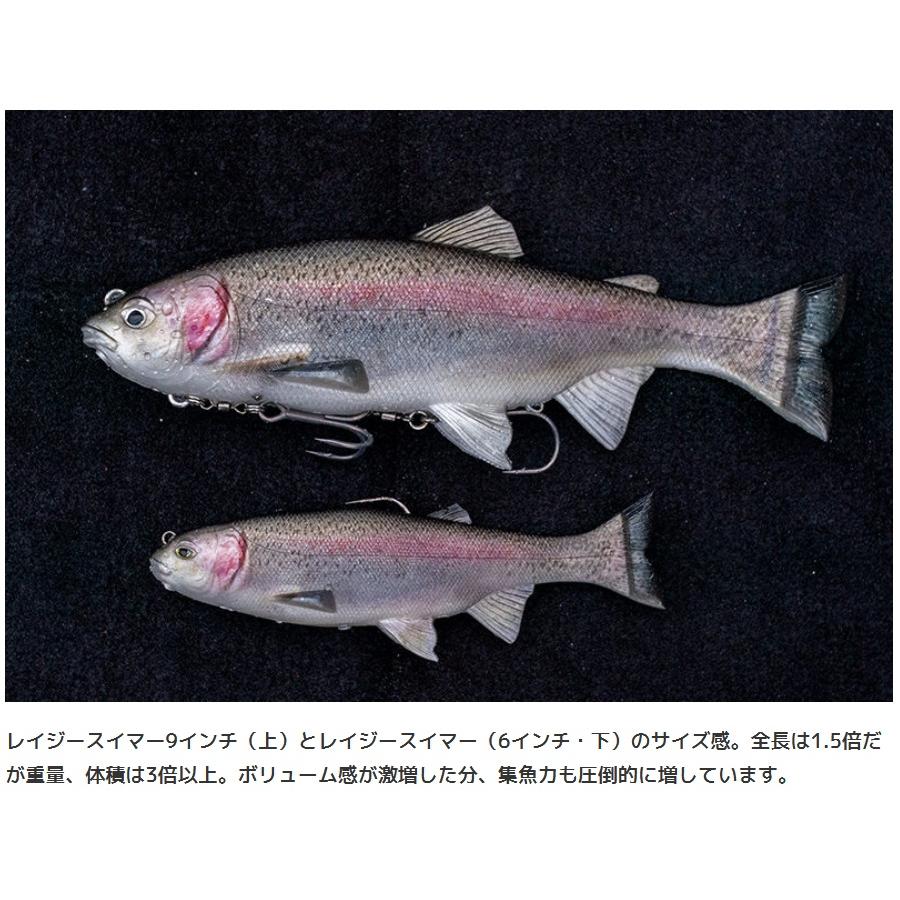 イマカツ レイジースイマー 9インチ S-511 3DR寒鮒銀 686791 3D