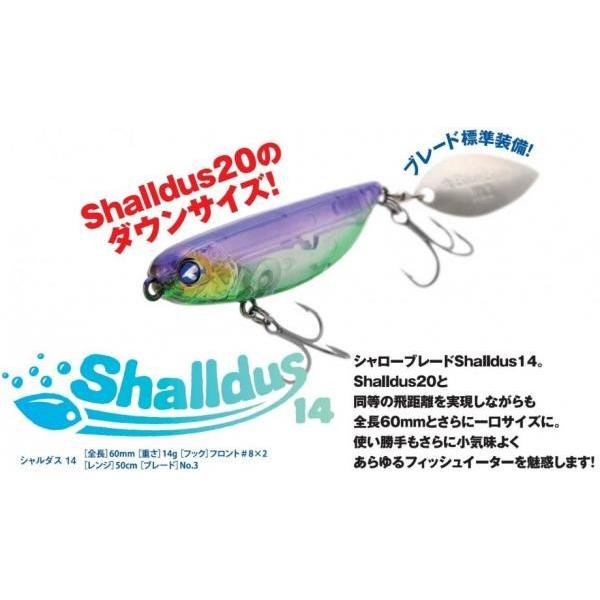 ブルーブルー シャルダス14 #08 ブルーブルークリア 514941 |  | 01