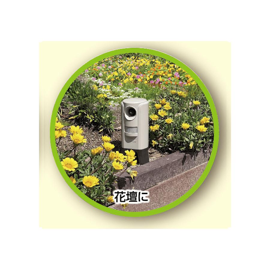 返金保証・充電式][猫よけグッズ][猫よけ 対策]ハクビシンにも効果を