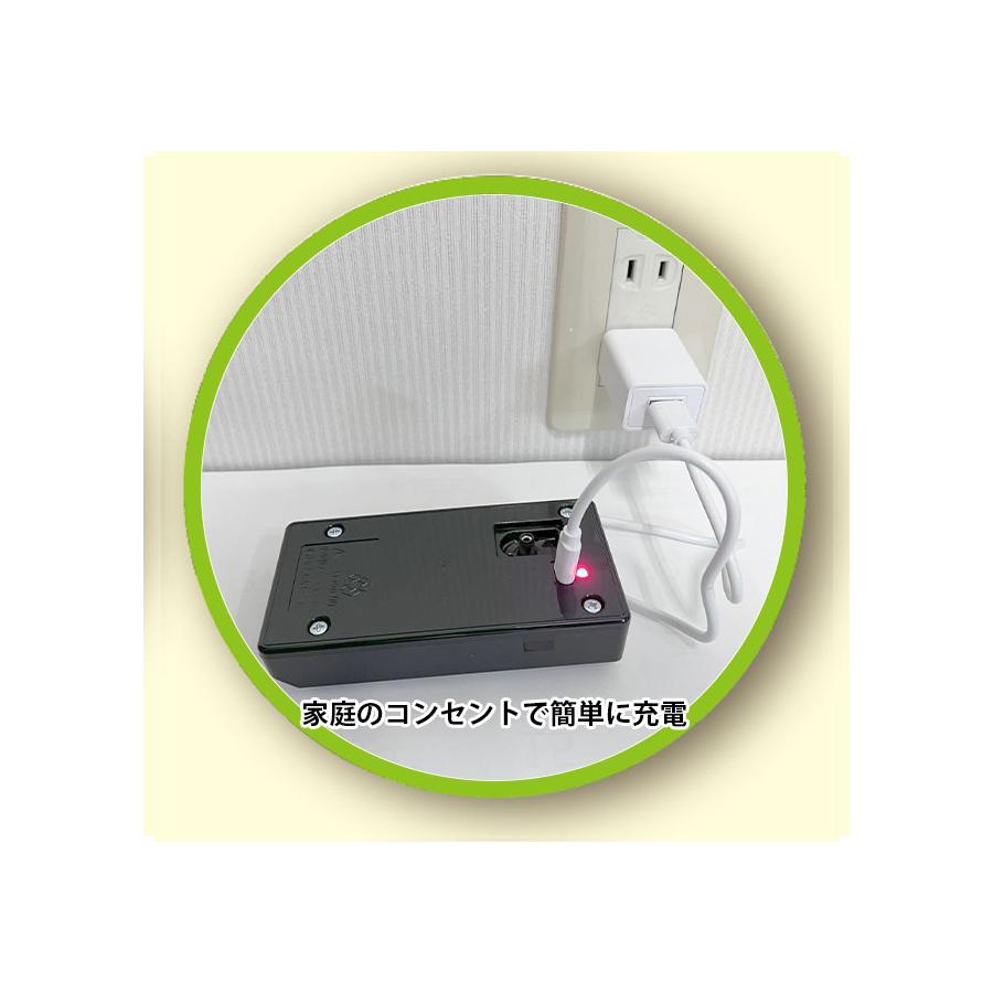 戦の傾き護法 Foil】(242)《キセレクスへの侵攻/Invasion of Xerex》/《天頂の