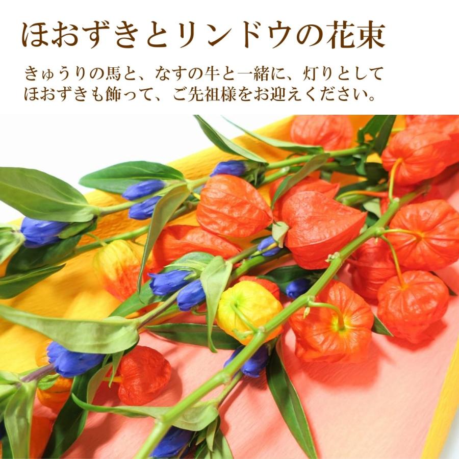 お盆花束 ほおずきとリンドウの花束 お供え花 お盆 初盆 関東盆 関西盆 お悔やみ 御供 命日 法事 法要 ホオズキ 鬼灯 Bu 034 フロリスト 花正 通販 Yahoo ショッピング