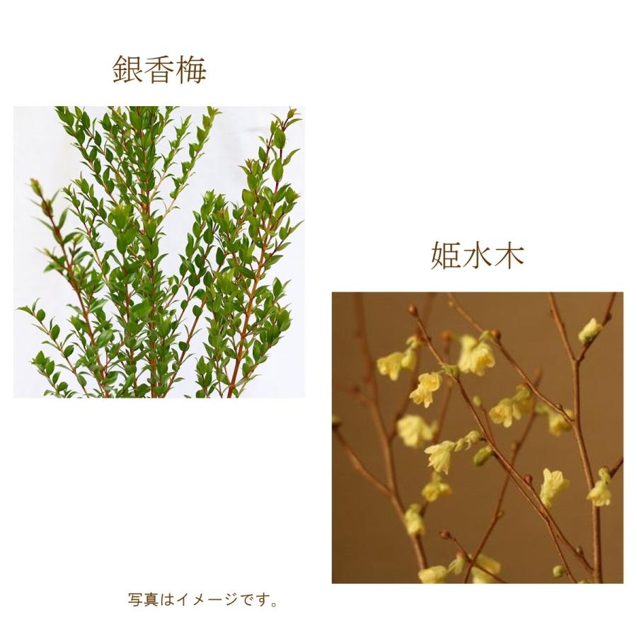 ７月限定 お稽古用切花 ご自宅用お生花 ギンバイカ 銀梅花 銀香木 ギンコウボク ヒメミズキ 姫水木 日向水木 伊予水木 Cf 007 フロリスト花正 通販 Yahoo ショッピング