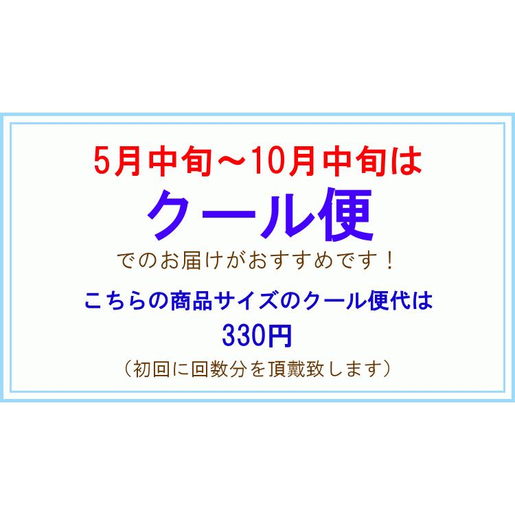 定期便 花「ワンダーブーケ・６ヶ月コース（全６回）」   誕生日 生花 プレゼント ギフト お祝い 花束 定期購入 フラワーギフト 旬 毎月届く｜f-hanasyou｜12