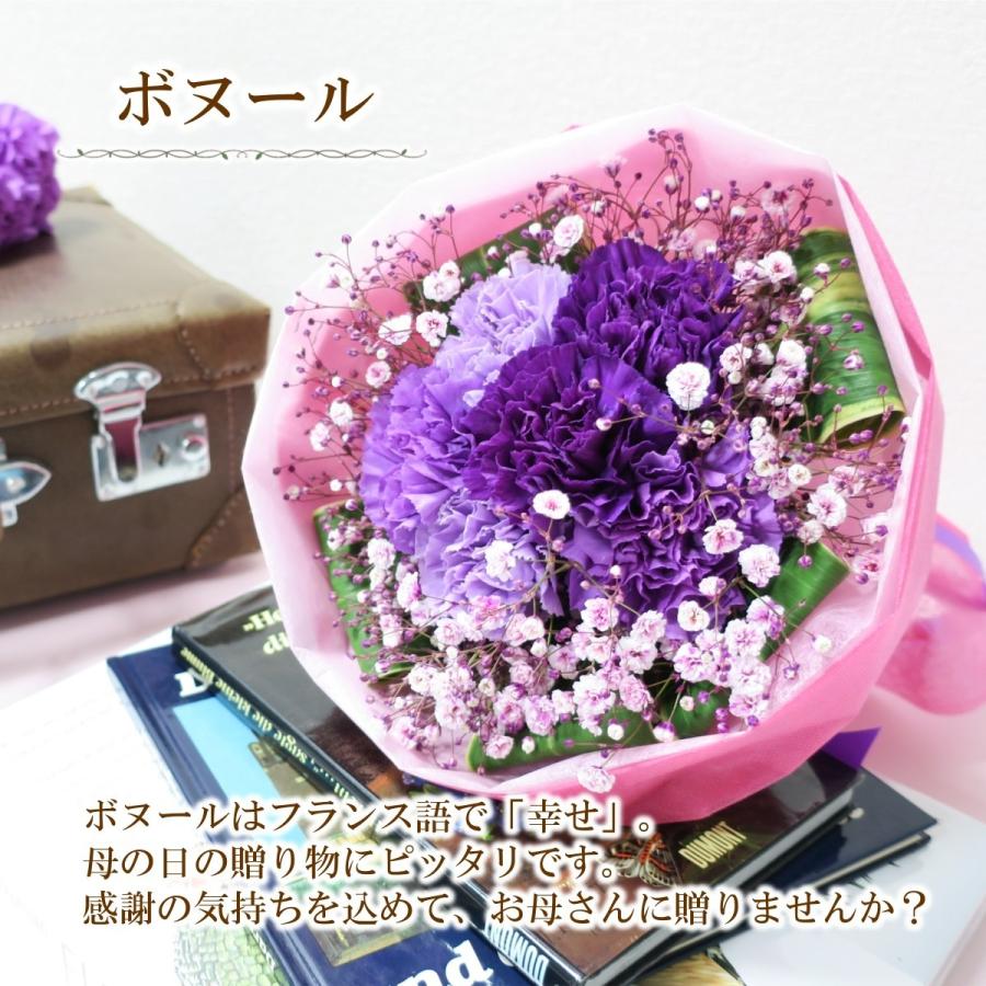 母の日限定 花束「ボヌール」ムーンダスト 紫のカーネーション 花束