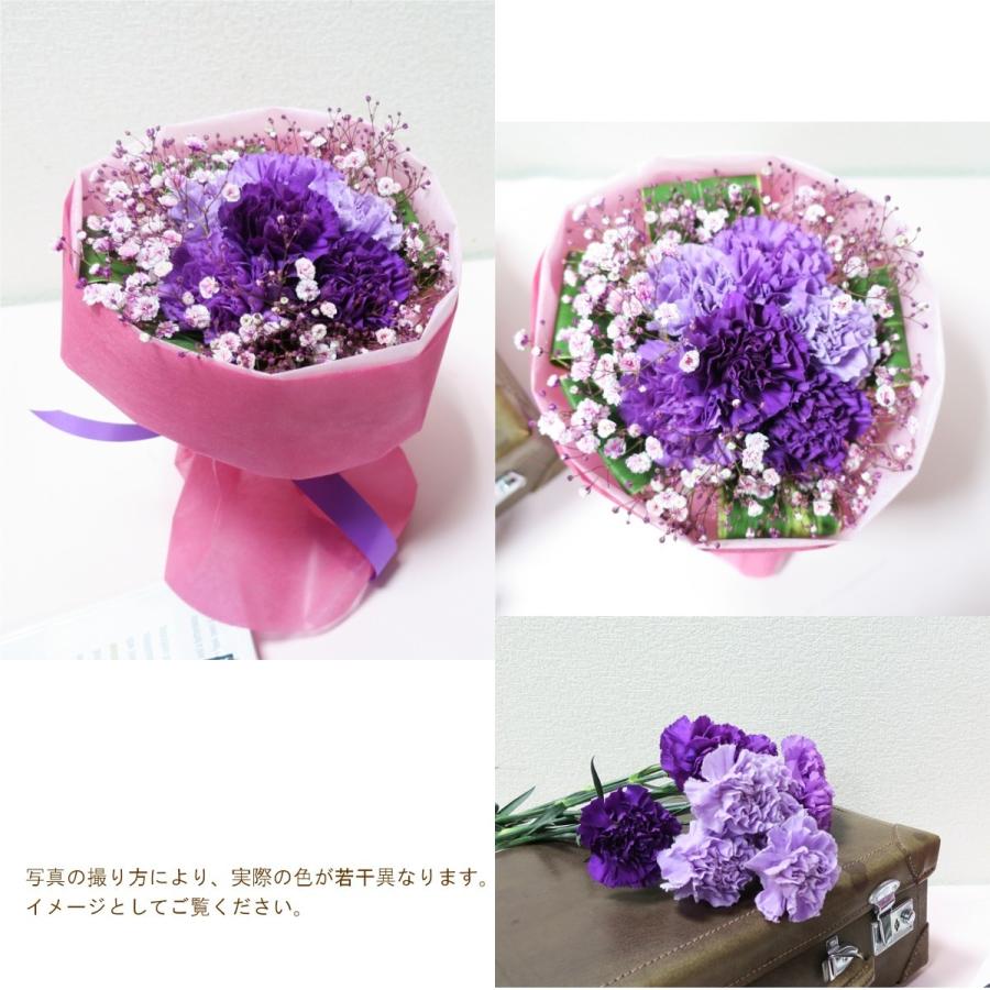 母の日限定 花束「ボヌール」ムーンダスト 紫のカーネーション 花束