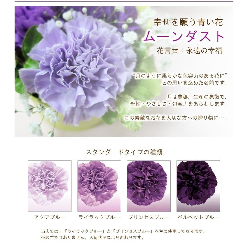 母の日限定 花束「ボヌール」ムーンダスト 紫のカーネーション 花束