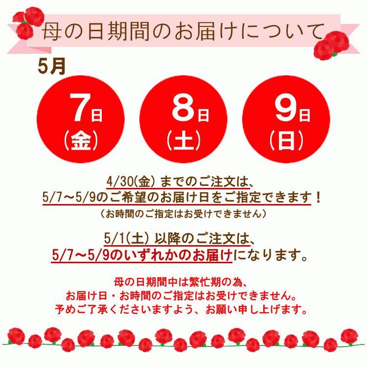 母の日限定花束 エトワール 母の日 花 プレゼント ギフト ブルー かすみ草 お祝い 誕生日 Mo Bu 092 フロリスト花正 通販 Yahoo ショッピング
