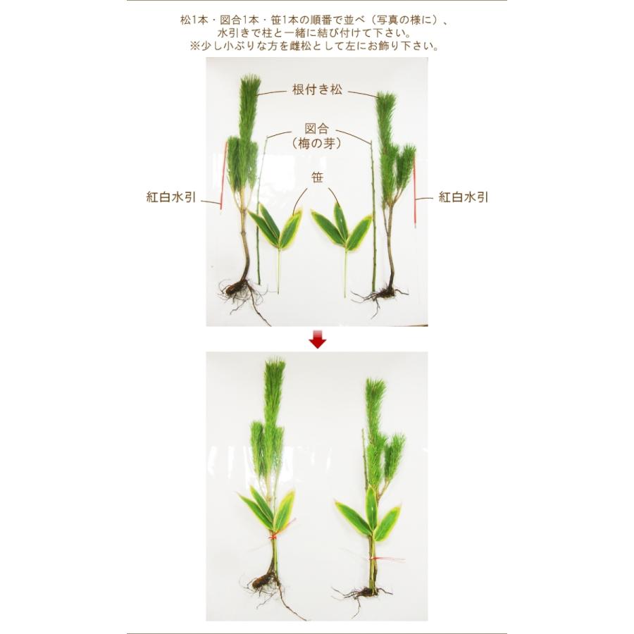 正月 根引き門松（1対）（2つセット）」 お正月飾り 門松 生花 玄関