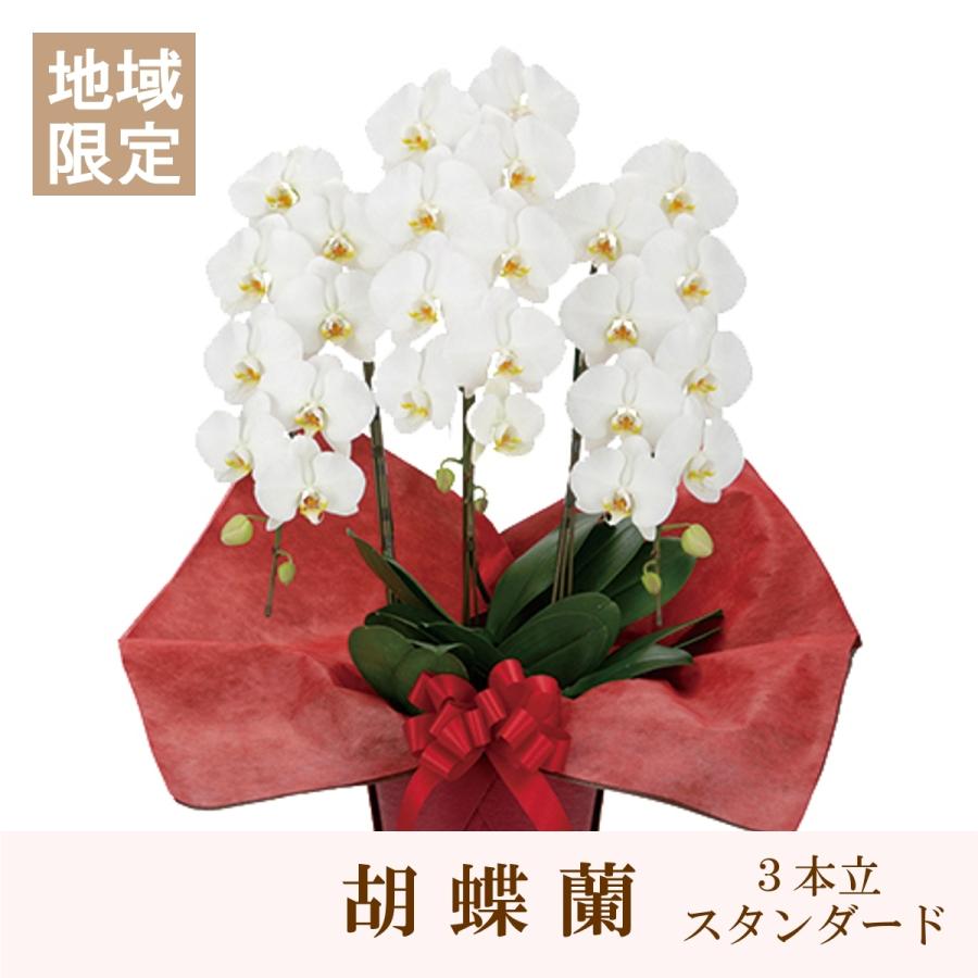 超安い スタンダード 地域限定 胡蝶蘭 ３本立 お祝いにもお供えにもお勧め 胡蝶蘭 お届け地域限定 誕生日 お祝い 白コチョウラン ギフト プレゼント 花 生花 Osborntextile Uz