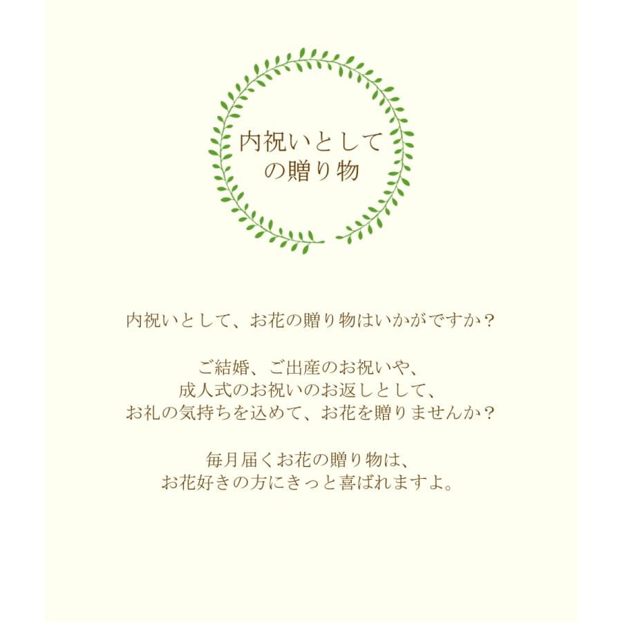 flower（ファッション） 定期便「花と暮らす定期便・年間コース