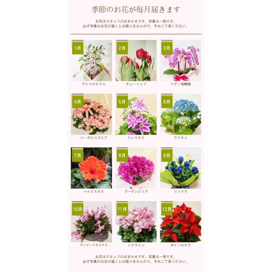 定期便 花と暮らす定期便 ３ヶ月コース 全３回 誕生日 花 プレゼント ギフト お祝い 還暦 内祝い 定期購入 フラワーギフト 旬 鉢物 花鉢 毎月届く Teikibin Hachi03 フロリスト花正 通販 Yahoo ショッピング