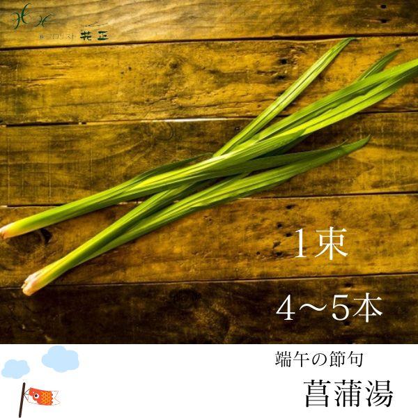 湯菖蒲１束 4 5本 ご家庭向け 葉菖蒲 菖蒲湯 端午の節句 Yusyoubu 001 フロリスト花正 通販 Yahoo ショッピング