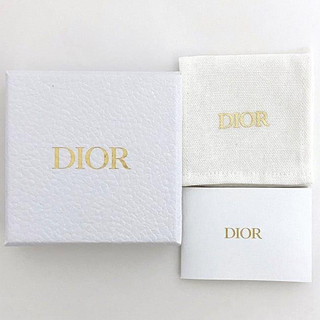 Christian Dior クリスチャン ディオール ロゴ ピアス シルバー