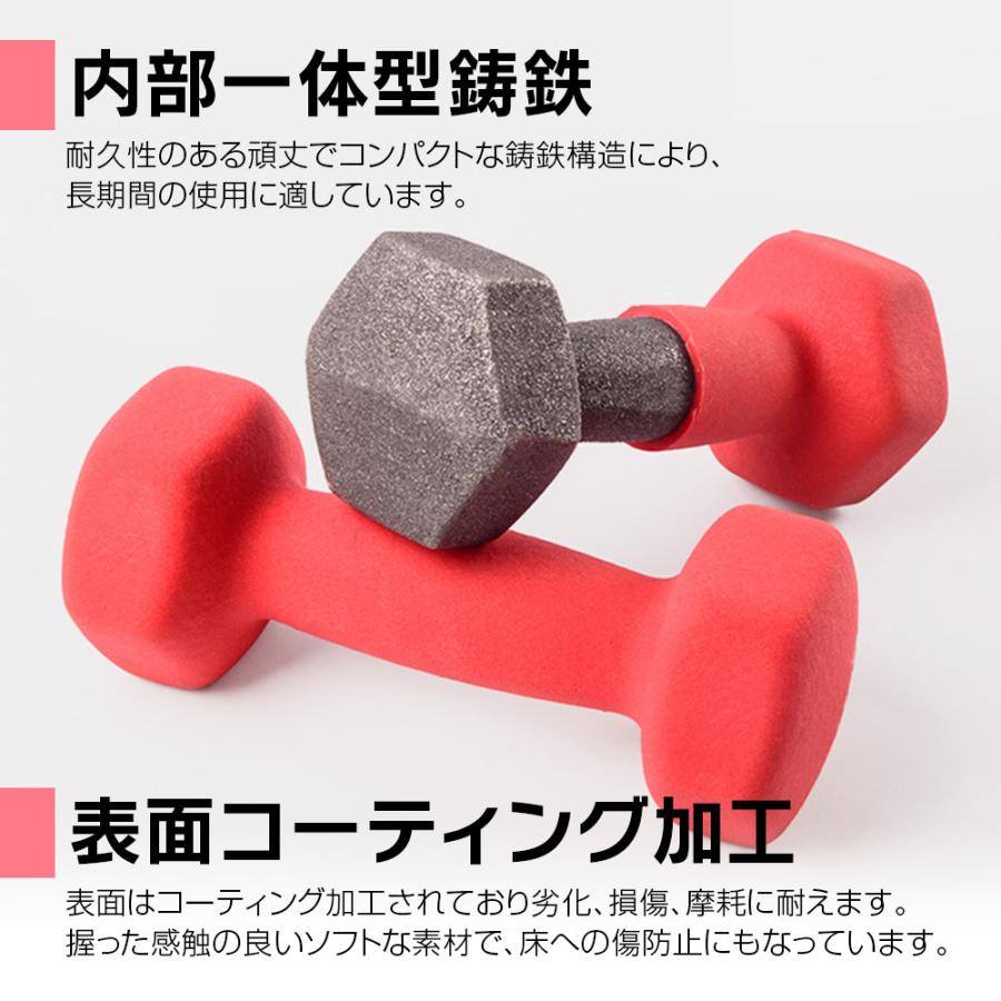 ダンベル 1kg 2個セット 鉄アレイ 筋トレ 筋力 トレーニング ダンベル 1kg 2個セット 鉄アレイ 筋トレ 筋力 トレーニング