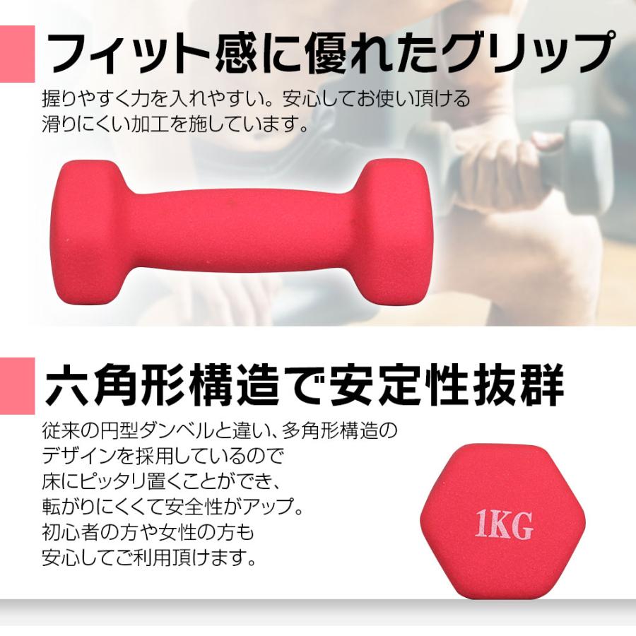 背筋計　健康診断　体力テスト　240kg 筋トレ　ダンベル　トレーニング ダンベル 1kg 2個セット 鉄アレイ 筋トレ 筋力 トレーニング