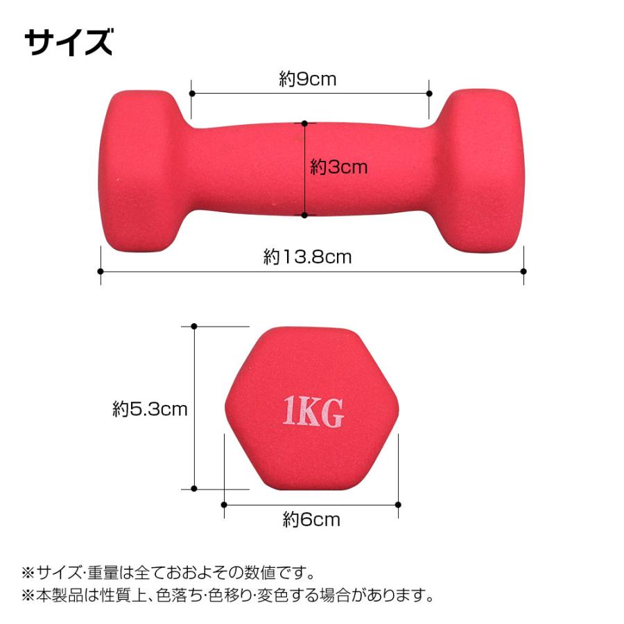 ダンベル 1kg 2個セット 鉄アレイ 筋トレ 筋力 トレーニング