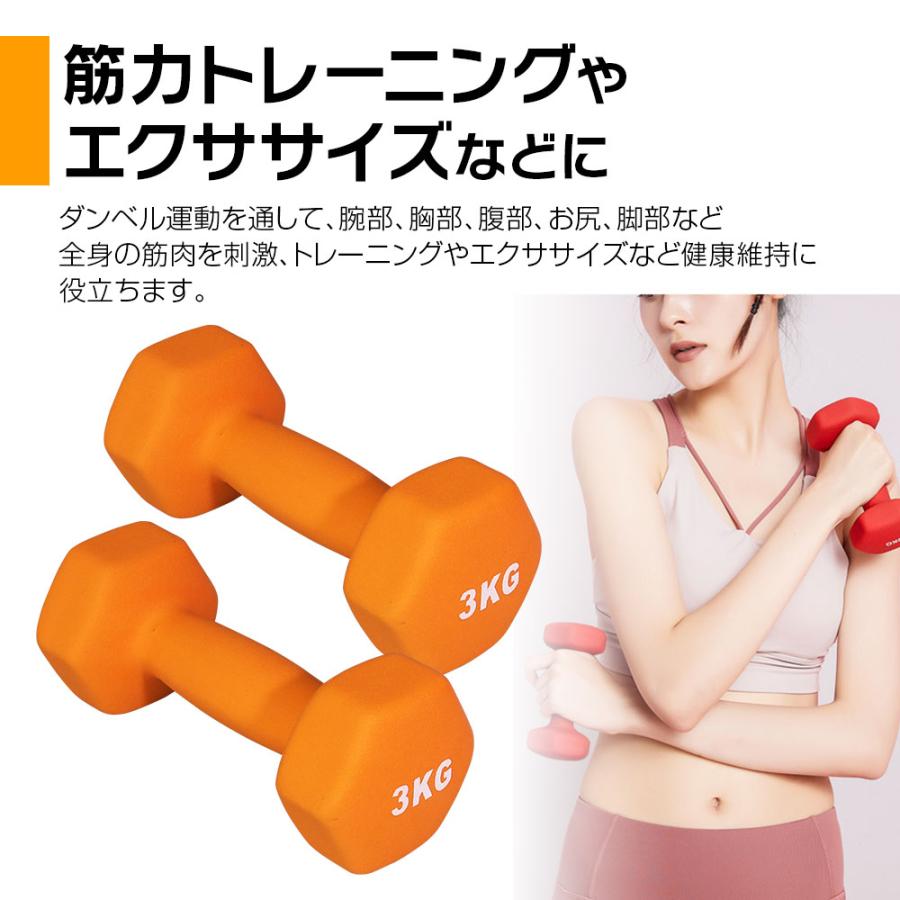 ダンベル 2個セット 鉄アレイ 3kg 筋トレ 筋力 トレーニング ダンベル 2個セット 鉄アレイ 3kg 筋トレ 筋力 トレーニング