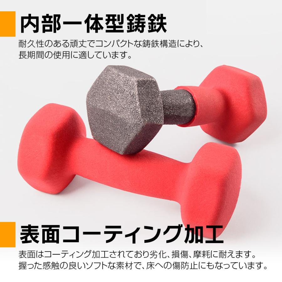 ダンベル 2個セット 鉄アレイ 3kg 筋トレ 筋力 トレーニング