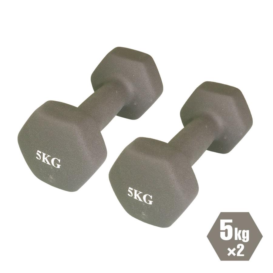 ダンベル 2個セット 鉄アレイ 5kg 筋トレ 筋力 トレーニング ダンベル 2個セット 鉄アレイ 5kg 筋トレ 筋力 トレーニング