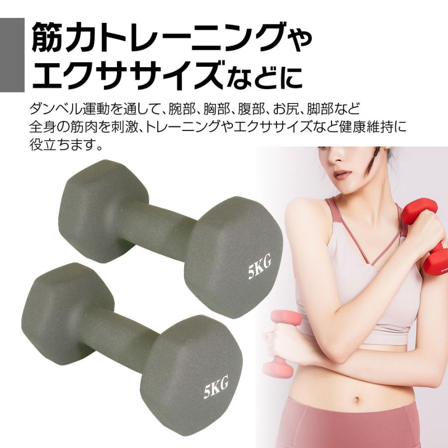 ダンベル 2個セット 鉄アレイ 5kg 筋トレ 筋力 トレーニング