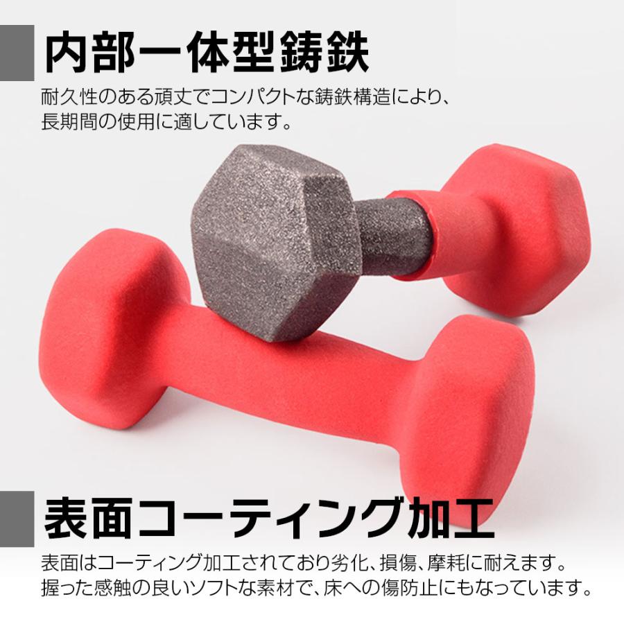 新品 ダンベル 5kgｘ2個 1セット / 鉄アレイ dumbbell 鉄亜鈴 ダンベル 2個セット 鉄アレイ 5kg 筋トレ 筋力 トレーニング