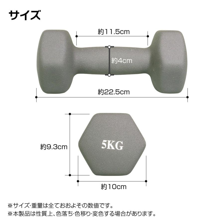 ダンベル 2個セット 鉄アレイ 5kg 筋トレ 筋力 トレーニング