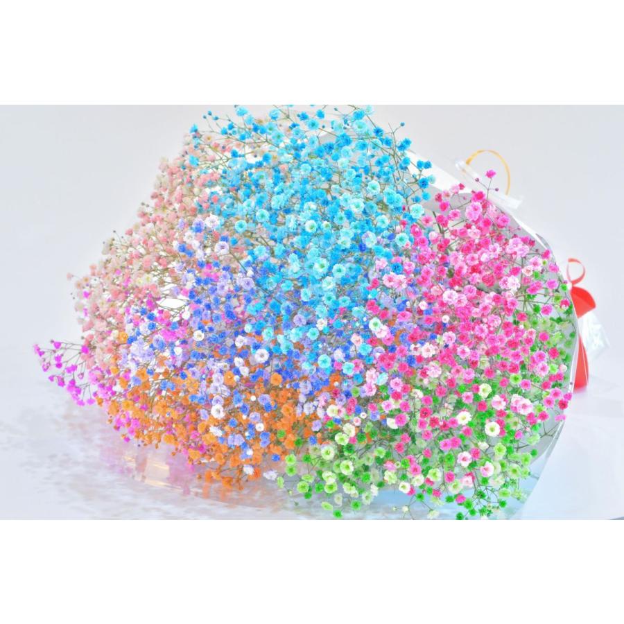 ７色そろうふわふわブーケ 7本 ロマンチックかすみ草 かすみ草 染めかすみ草 R 03 Flower Market いわい生花 通販 Yahoo ショッピング