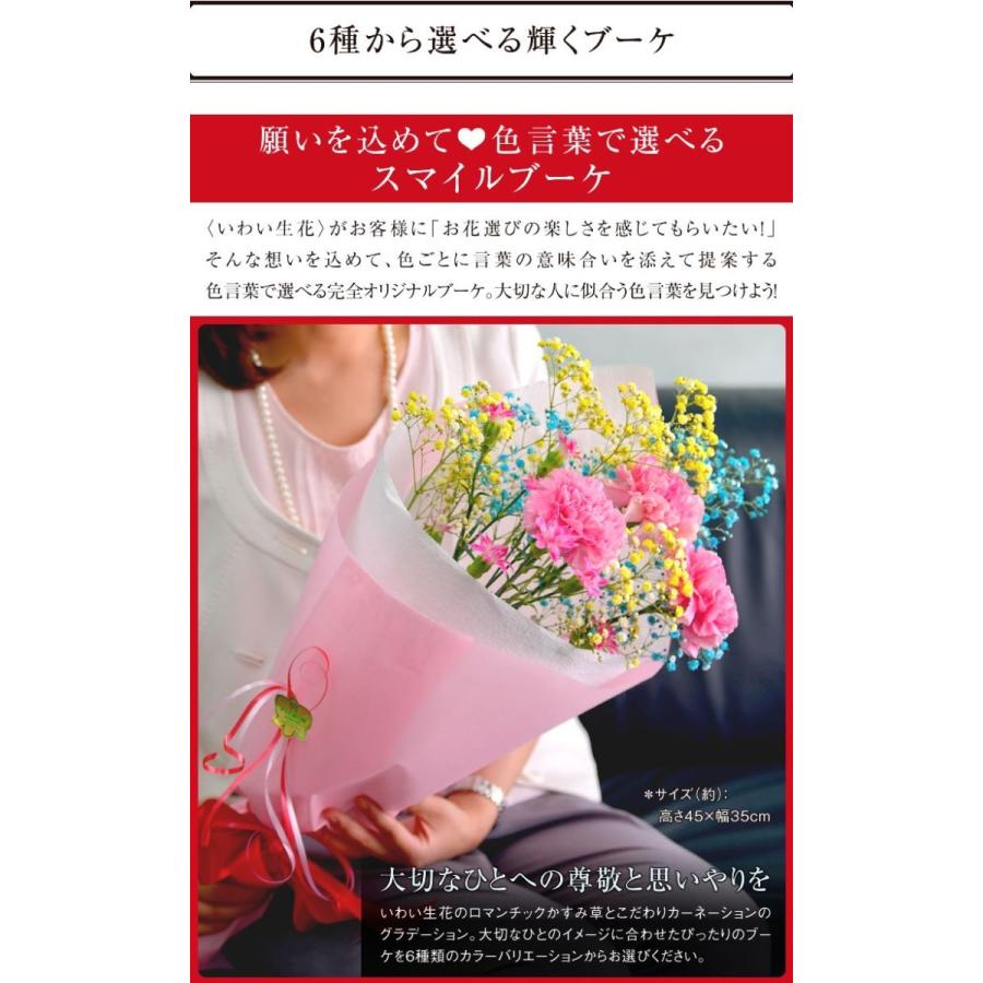 スマイルブーケ ロマンチックかすみ草 カーネーション かすみ草 染めかすみ草 Sb 05 Flower Market いわい生花 通販 Yahoo ショッピング
