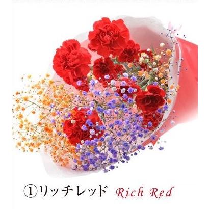 スマイルブーケ ロマンチックかすみ草 カーネーション かすみ草 染めかすみ草 Sb 05 Flower Market いわい生花 通販 Yahoo ショッピング