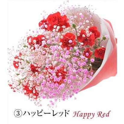 スマイルブーケ ロマンチックかすみ草 カーネーション かすみ草 染めかすみ草 Sb 05 Flower Market いわい生花 通販 Yahoo ショッピング