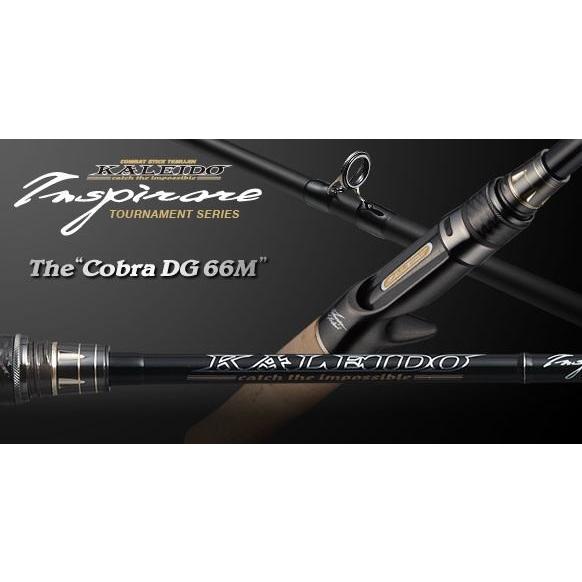 EverGreen（エバーグリーン） EG カレイド インスピラーレ TKIC-66M