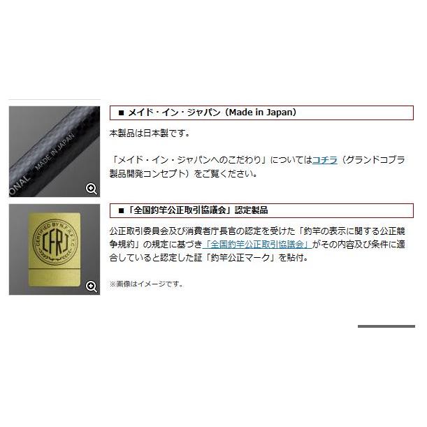 フェイズ エバーグリーン PCSC-66L＋BF フィールディンスター・ベイト