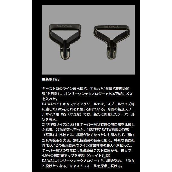 DAIWA（ダイワ） 24スティーズ SV TW 100XH 右ハンドル仕様