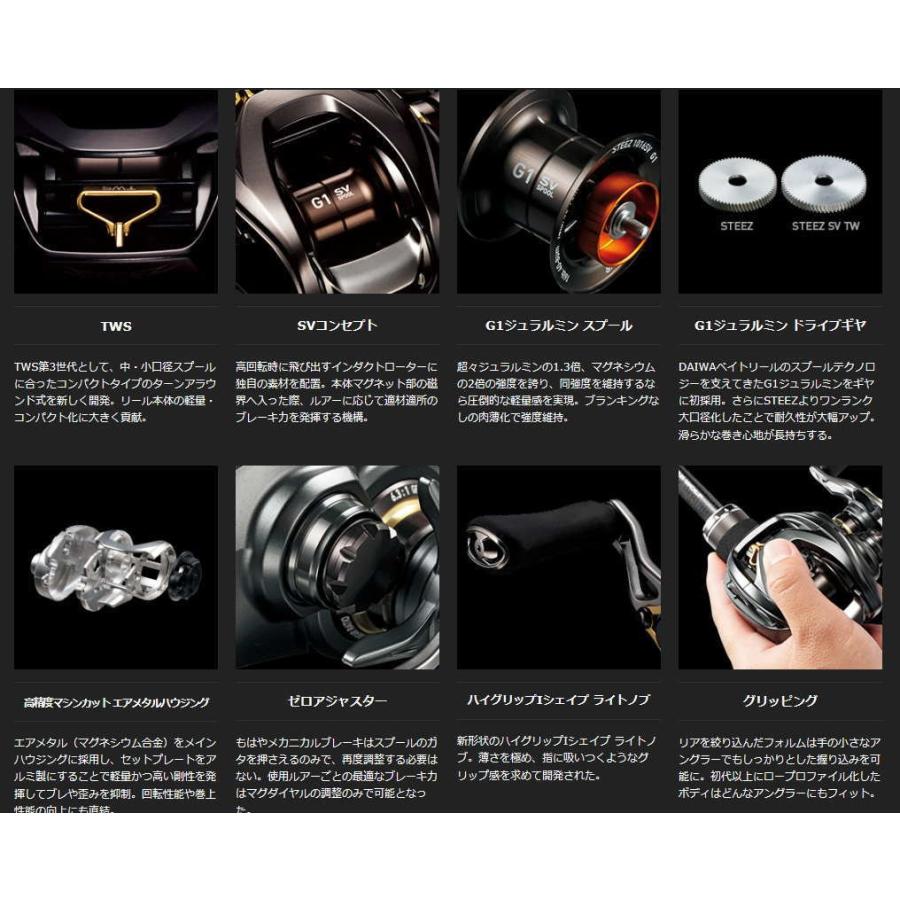 DAIWA - STEEZ SV TW 1016SV-H　(RH)右ハンドル ダイワ(Daiwa) STEEZ(スティーズ) SV TW 1016SV-H (右ハンドル