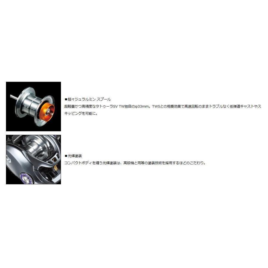 DAIWA（ダイワ） 2017 タトゥーラ SV TW 6.3L 左 ベイトリール (メール